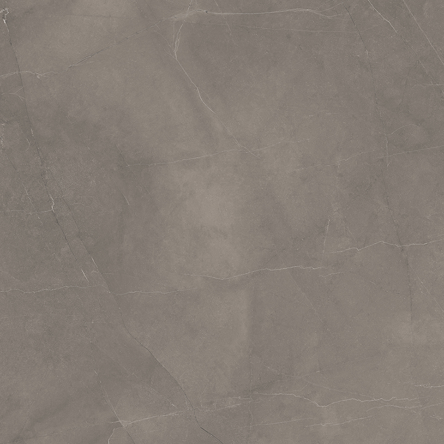 картинка Splash Grey Керамогранит серый 60х60 Сатинированный Карвинг от магазина Одежда+