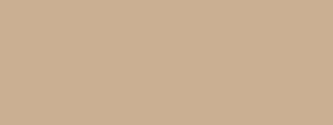картинка Вилланелла Плитка настенная беж темный 15074 15х40 от магазина Одежда+