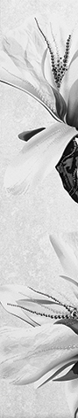 картинка Картье Бордюр серый 01 7,5x40 от магазина Одежда+
