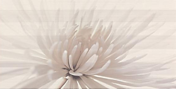 картинка Avangarde flower Декор 29,7х60 от магазина Одежда+