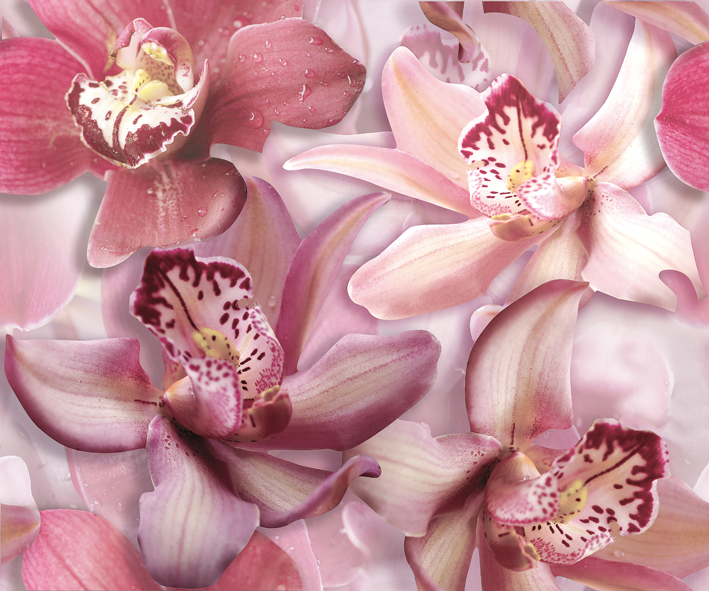 картинка Porto Flowers "Orchid lila" Панно 50x60 (2пл) от магазина Одежда+