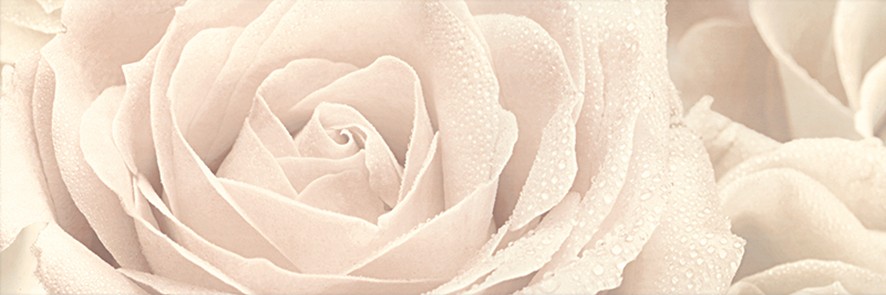 картинка Розовый город Декор Роза 12056\3F 25х75 от магазина Одежда+