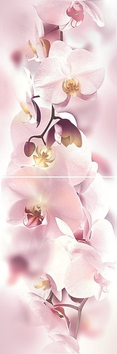 картинка Orchid Панно P2D135 20х60 (из 2-х пл.) от магазина Одежда+