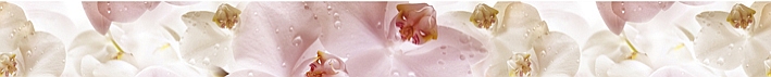 картинка Porto Flowers listwa Бордюр 6х60 от магазина Одежда+