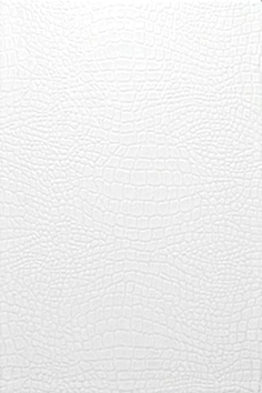 картинка Варан белый 8021 20х30 от магазина Одежда+
